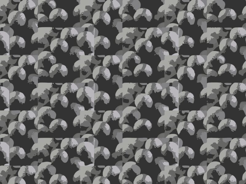 Ball Camo