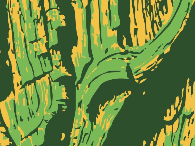 Verdant Echo