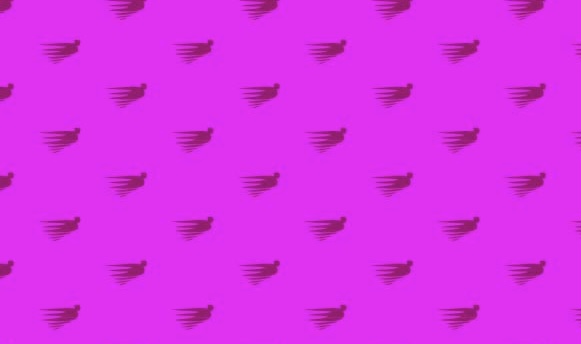 Biggus Flight