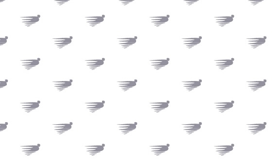 Silver Wing