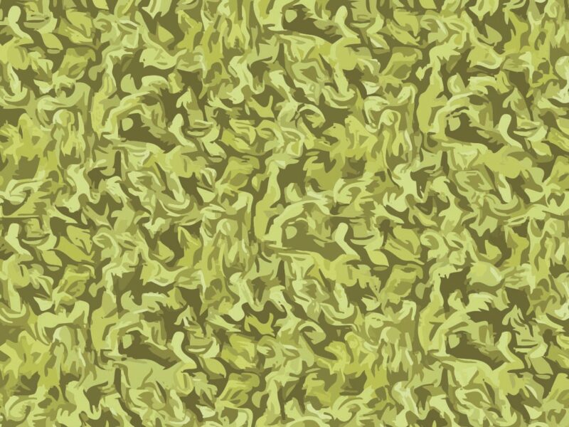 Chartreuse Current