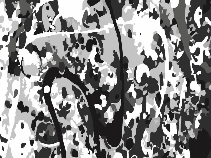 Monochrome Motion