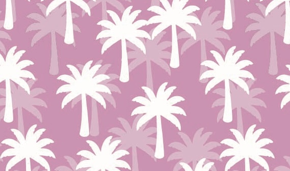 Miami Palm