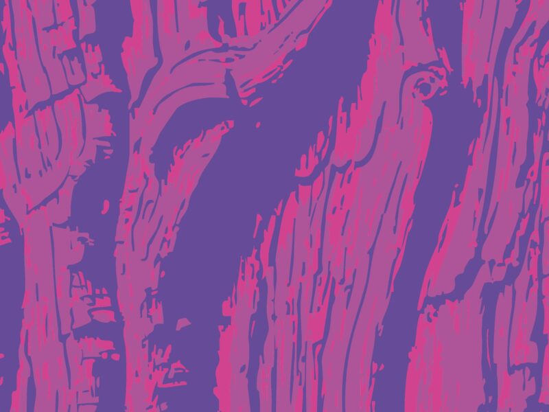 Neon Forest