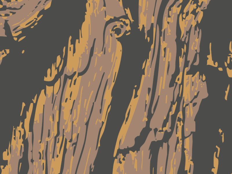 Timber Trail